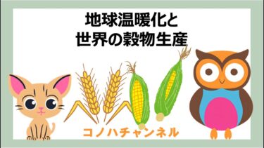 コノハチャンネル【第６回】地球温暖化と世界の穀物生産