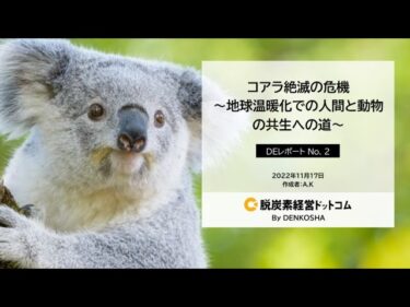 コアラ絶滅の危機!? ～地球温暖化での人間と動物の共生への道～【サスティナブルレポート】脱炭素経営ドットコム Presents #脱炭素 #解説 #DEレポート