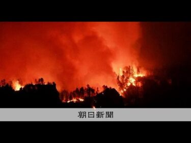 【ICJ画期的判断】気候変動対策は法的義務！持続可能な環境は人権と勧告