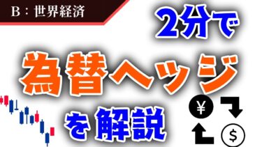 【為替ヘッジとは？】為替変動リスクを抑えて世界経済に投資しよう！【世界経済】#8