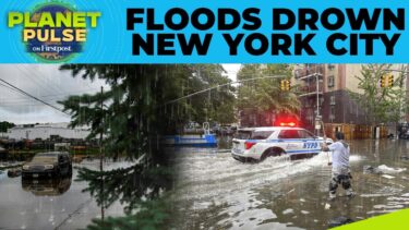 Floods Cripple New York, New Jersey As Extreme Weather Sweeps US | Planet Pulse