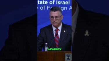 Israeli FM Addresses Gaza Conflict After UN Session | AC1C