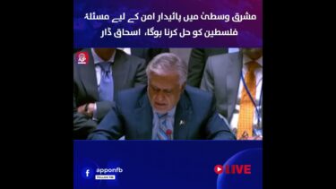 Palestine Issue | Middle East Conflict | UNO