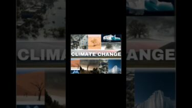 The global cost of climate change