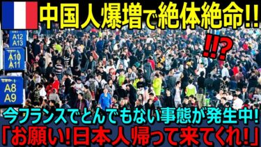 【海外の反応】「中国人爆増で絶体絶命！！」今フランスでとんでもない事態が発生中！「お願いだから日本人帰って来てくれ！」日本人が激減し中国人が急増して窮地に立たされるフランス【日本賞賛】