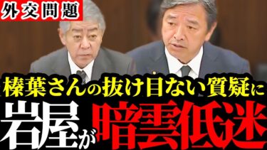 【榛葉賀津也】日本に不利益しかない…国防をめぐる質問攻めに岩屋毅がビビりまくり…【岩屋外務大臣/国会中継】