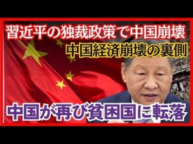 習近平の独裁政策で中国経済崩壊の危機【地政学・地理・軍事】【ゆっくり解説】 ssn2ew
