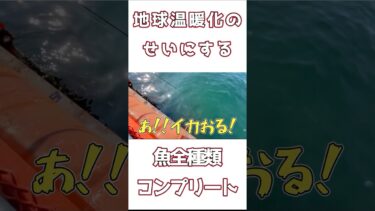 【地球温暖化】釣れない時の言い訳#釣り #釣り好きと繋がりたい #釣りYouTube #shorts