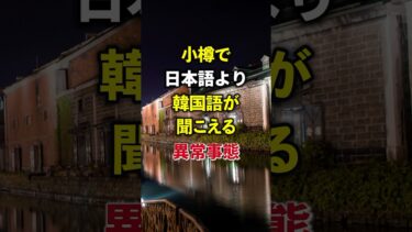 日本は外国人に乗っ取られる？#海外の反応 #海外反応 #旅行　VOICEVOX:白上虎太郎
