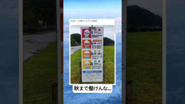 まじ暑さ無理やて…… #暑い #夏 #異常気象 #shorts