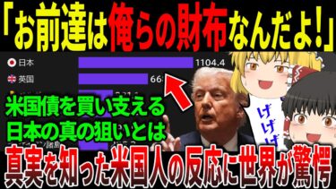 【驚愕】「日本はアメリカの財布w」→実は“世界を救った静かな巨人”だった件【ゆっくり解説】
