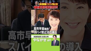 スパイ防止法・移民問題【岩屋外務大臣やる気ありますか？】⚡️やなチャン！ #移民問題 #スパイ防止法 #岩屋外務大臣