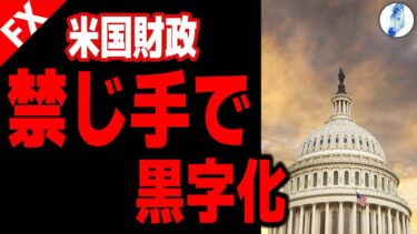 【大成功のトランプ関税 黒字化した米国財政 何故インフレしない？関税分は企業負担(最初だけ)】【米国金利 ビットコイン ドル円】米国財政
