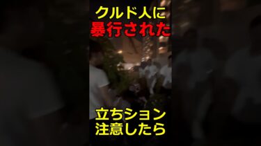 移民政策問題の代表クルド人達の実際は？河合ゆうすけ議員って？参議院選挙で日本は変わる？ #参政党 #石破茂 #自民党 #国民民主党 #デモ #財務省