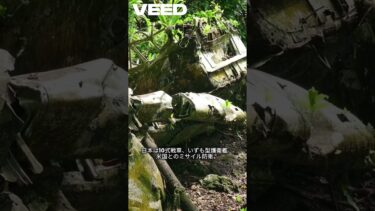 🇯🇵日本 vs 中国🇨🇳：軍事力が強いのはどっち？