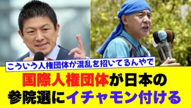 【アムネスティ】国際人権団体が参院選にイチャモン付ける
