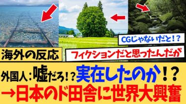 【海外の反応】海外「日本に実在しただと！？」 日本のありふれたド田舎の光景がエモすぎると話題に！！