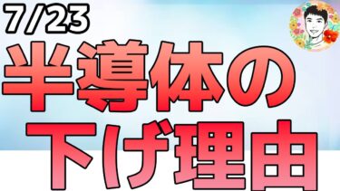 半導体が下落！企業決算では関税の影響が見え隠れ⁉【7/23 米国株ニュース】