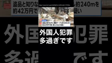 外国人の犯罪が多過ぎやろ… #外国人問題 #移民問題 #中国人 #クルド人 #日本人ファースト #参政党 #自民党 #公明党 #参政党 #強制送還