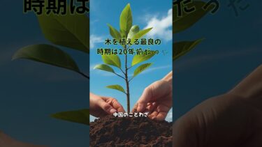 地球温暖化・異常気象に警鐘を鳴らす名言5選 #名言 #雑学 #環境問題