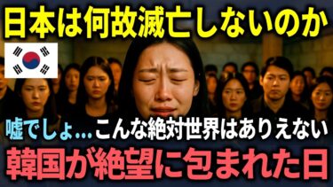 【海外の反応】「こんな世界は認められない！」日本が滅びない衝撃の理由を知った韓国が絶望に包まれる末路