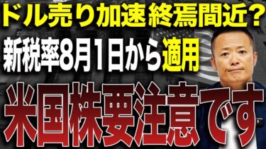 【タブー中のタブー】米国株の現在の市場動向と7月以降の見通しをトランプ関税の影響と併せてデータ解説【新NISA・S&P500】