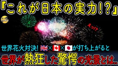 【海外の反応】日本の花火に100万人が騒然…現地から驚愕の声「もう他は見られない」