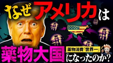 【薬物消費大国…】なぜ違法薬物はアメリカに集まるのか？