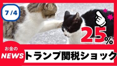 【超速報】トランプ25％関税発表で世界株安！日経暴落＆テスラ8％急落