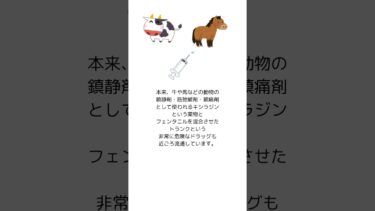 北米においてのフェンタニル汚染　#フェンタニル　#薬物　#国際ニュース