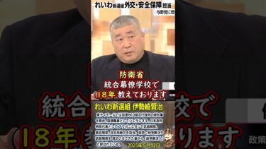 れいわ新選組 外交・安全保障担当