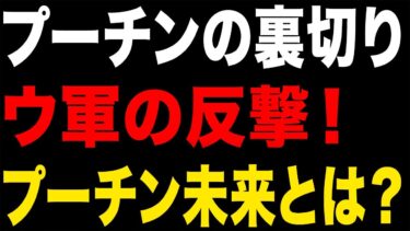 【ゆっくり解説】セレナ軍需工場が燃え上がる！ウクライナ戦争、衝撃の転換点！【海外の反応】