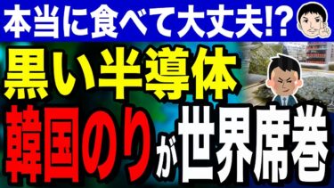 【ｋミカル・・・。​​ケミカルケミカル、ララララ、ら😱😱😱】「黒い半導体」か「黒い脅威」か！？韓国のりが世界を席巻！本当に食べて大丈夫？