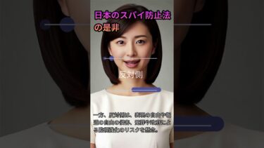 日本のスパイ防止法の是非
