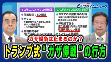 【ガザ紛争は止まるのか?】トランプ式“ガザ停戦”の行方 宮家邦彦×池田明史 2025/7/8放送＜前編＞