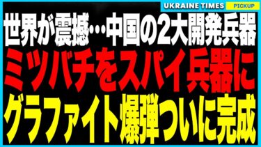 ウクライナ戦争の裏で中国が“静かに狂気の兵器”を実戦化！脳にAIチップを埋め込んだ“サイボーグ・ミツバチ”の開発に成功、さらに“音も爆発もない”都市絶滅兵器“グラファイト爆弾”がついに実戦配備へ！