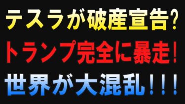 【衝撃】テスラが破産宣告!? トランプ暴走で世界経済が大混乱へ!