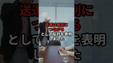 「“不法滞在者ゼロプラン”に日弁連が猛反発！人権侵害か、安全確保か」#政治ニュース #政治解説 #時事ニュース #移民 #shorts