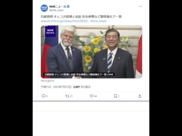 石破首相 チェコ大統領と会談 安全保障など関係強化で一致