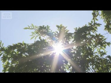 北日本7月の記録的暑さ 温暖化で発生リスク約34倍(2025年8月8日)
