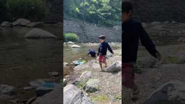 川遊びという地球温暖化対策は我が家には功を奏していることは明白である　#shorts #川 #地球温暖化