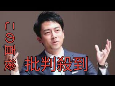 小泉進次郎農相「晩餐会も外交にとって重要な場」アフリカ開発会議夕食会で早くも「首脳外交」?