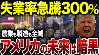 米国が200%関税発動！世界経済15兆円規模の大崩壊へ、失業率急騰300%で農業も製造も全滅し南アは失業ラッシュ【海外の反応】