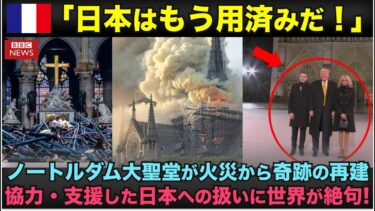 【海外の反応】ノートルダム再建の隠された真実。日本の職人魂が世界遺産を救った感動実話