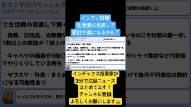 【インフレ対策】生活費の見直しで家計が楽になるかも？