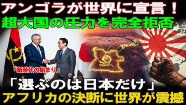 【海外の反応】「アンゴラが日本だけを選んだ理由」アンゴラが超大国を拒否し日本を選んだ“歴史的瞬間”