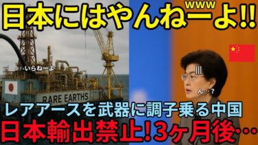 【海外の反応】中国の資源戦略が日本を追い込むはずだった…しかし世界中が驚愕する“真の勝者”が現れた
