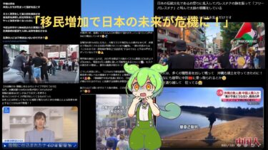 移民問題について考える(街頭インタビュー)動画