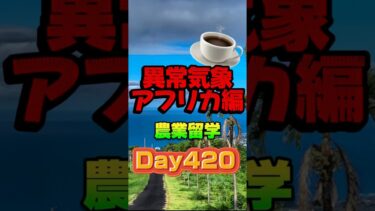 #youtubeshorts #農業 #コーヒー #異常気象 #留学  #留学日記 #ハワイ #ハワイ島