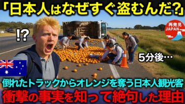 【海外の反応】「日本人がまた泥棒してる…」トラック運転手のオーストラリア人が事故でオレンジをぶちまけてしまったら日本人観光客が盗み出した。横転5分後に知った衝撃の事実に絶句した理由
